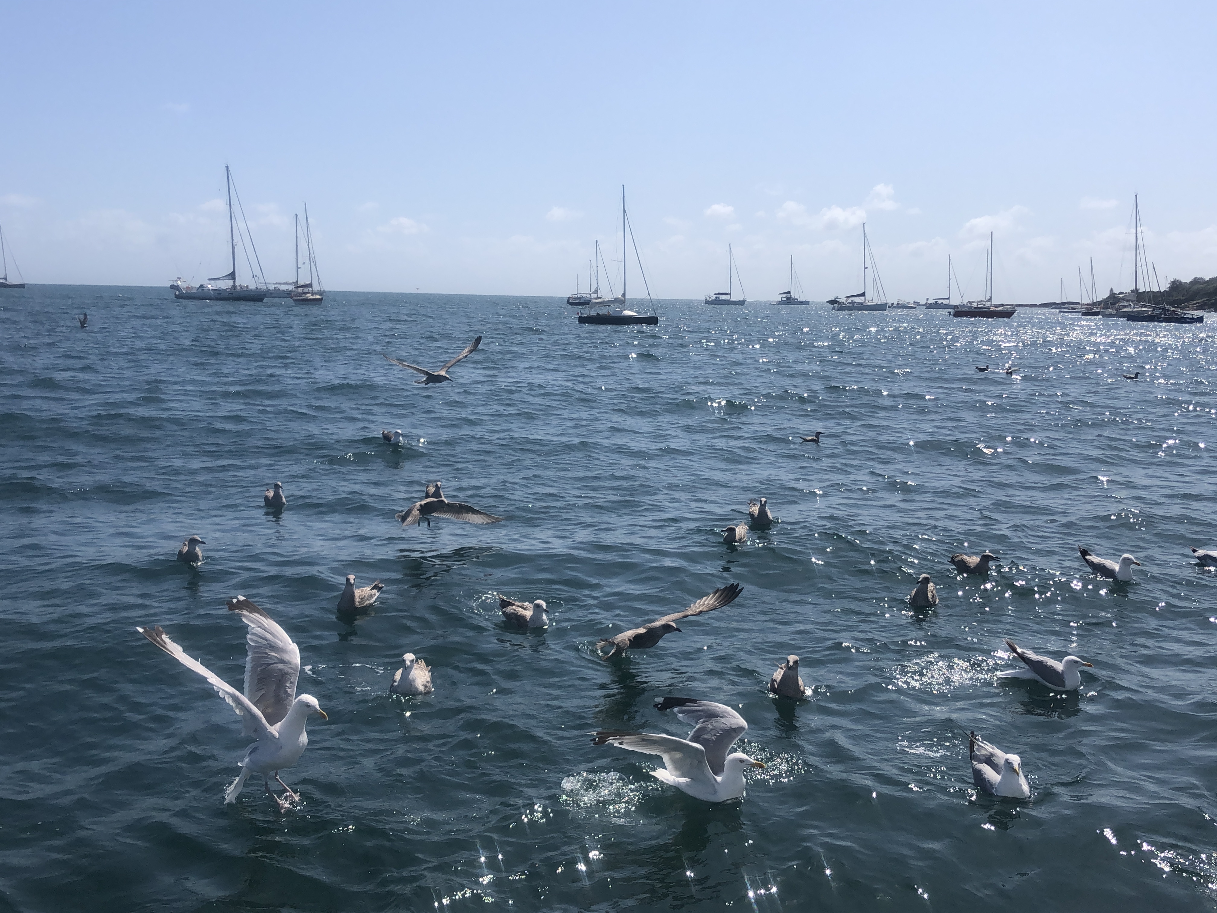 Mise en ligne du site internet des Bretons du Barreau 